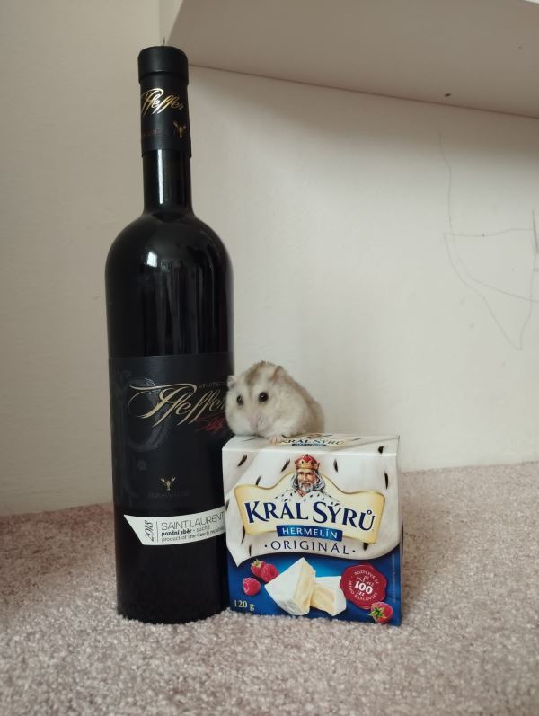 IMG-20250709-WA0005